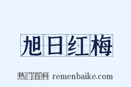 旭日红梅是什么意思的图片